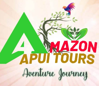 Amazon Apui Tours
